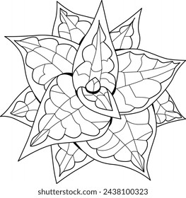 Succulent houseplant for coloring. Print shape home plant urban tropical jungle decor.