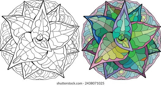 Succulent houseplant on mandala. Print shape home plant urban tropical jungle decor. Color and outline set