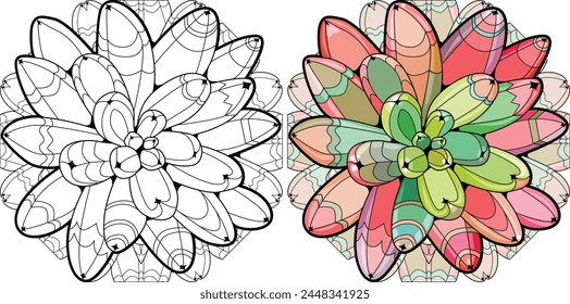 Succulent houseplant on mandala. Print shape home plant urban tropical jungle decor. Color and outline set