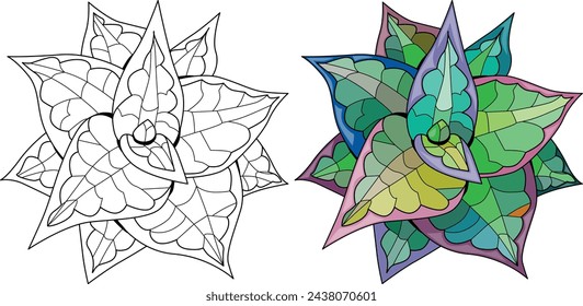 Succulent houseplant. Print shape home plant urban tropical jungle decor. Color and outline set