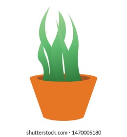 Succulent icon. Cartoon of succulent vector icon for web design isolated on white background