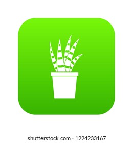 Succulent icon digital green for any design isolated on white vector illustration