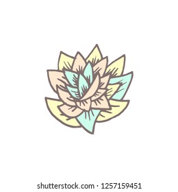 Succulent icon in hand drawn style. For print, sticker, textile. Vector illustration