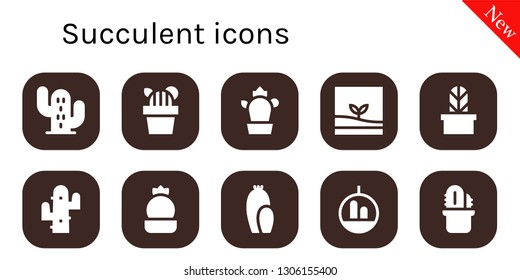 succulent icon set. 10 filled succulent icons.  Simple modern icons about  - Cactus, Terrarium