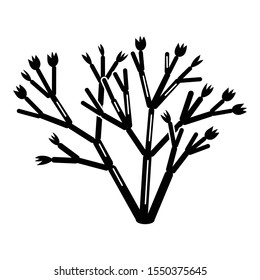 Succulent icon. Simple illustration of succulent vector icon for web design isolated on white background