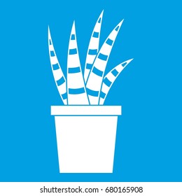 Succulent icon white isolated on blue background vector illustration