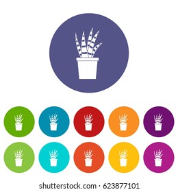 Succulent icons set in circle isolated flat vector illustration
