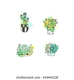 Succulent illustration. Vector cactus hand drawn set with paint splashes. Cacti and in door plants in pots with colorful splatter. Exotic mexican flora design.