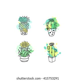 Succulent illustration. Vector cactus hand drawn set with paint splashes. Cacti and in door plants in pots with colorful splatter. Exotic mexican flora design.