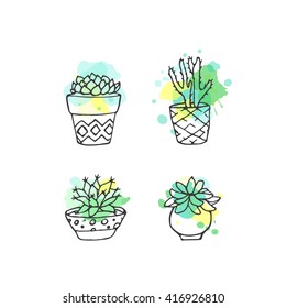 Succulent illustration. Vector cactus hand drawn set with paint splashes. Cacti and in door plants in pots with colorful splatter. Exotic mexican flora design.