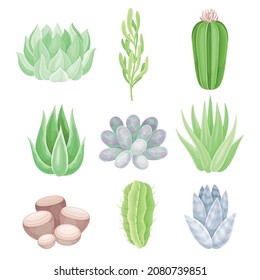 Succulent indoor plants set. Trendy home, office decor vector illustration
