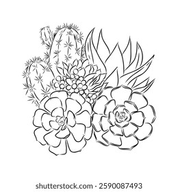 Succulent isolated hand drawn illustration, sketch succulent flower.