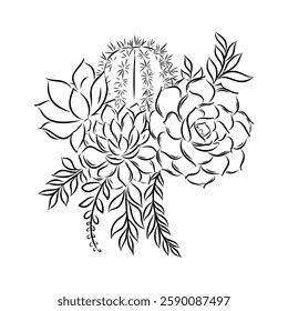 Succulent isolated hand drawn illustration, sketch succulent flower.