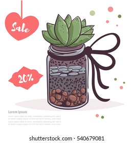Succulent in a jar. Hand drawn. Vector. Isolated.