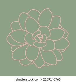 Succulent Line Art. Desert Flower Sketch. Outline Drawing Plant. Succulent Doodle Pattern.