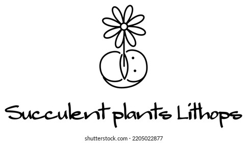 Suculentas Lithops en floración. Ilustración de caracteres. Vector.