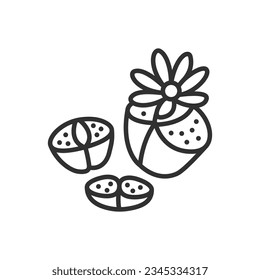 Suculento Lithops, icono lineal. Línea con trazo editable
