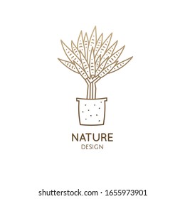 Succulent logo template. Vector illustration of houseplant in pot. Emblem of cactus or aloe, home plant, flower in linear style. Abstract stylized illustration - natural, eco product, spa, flower shop