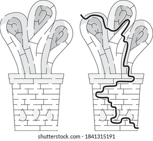 Succulent maze for kids with a solution in black and white