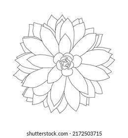 Succulent Outline Doodle. Graphics Sketch Home Desert Flower. Vector Illustration, White Background.