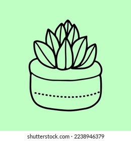 Succulent outline vector artwork design for websites, printing and others.