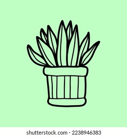 Succulent outline vector artwork design for websites, printing and others.