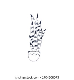 Succulent plant black outline hand drawn isolate on white background. Sketch, doodle succulent in a pot on a white background. Home plant, houseplant, cactus. Vector cactus coloring page illustration