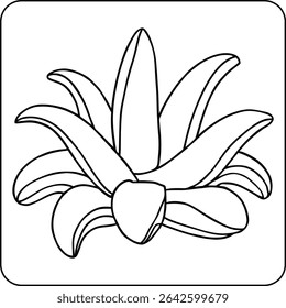 Succulent Plant Bold Line Coloring Page