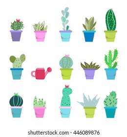 Succulent plant and cactus pots vector illustration background