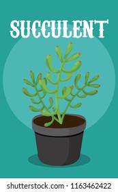 Succulent plant cartoon