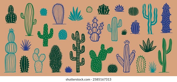 Succulent plant collection, cactus set, hand drawn vector collection
