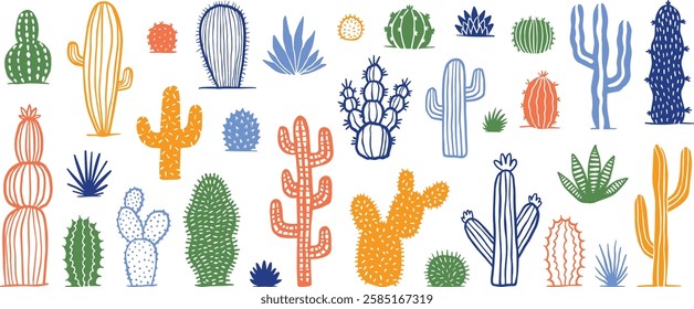 Succulent plant collection, cactus set, hand drawn vector collection
