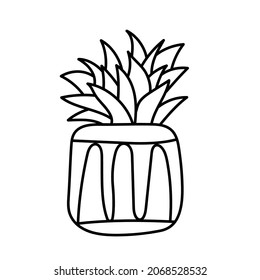 Succulent plant in flowerpot doodle. Hand drawn hygge line illustration. Vector art