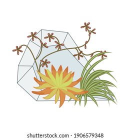 Succulent plant in glass terrarium. Trendy home decor elements isolated on white background. Flat Art Vector illustration