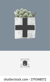 Succulent plant growing in cute pot. Echeveria. Scandinavian style. Hand drawn textures. For your design, mood boards and posters. Gray background. Stock vector.