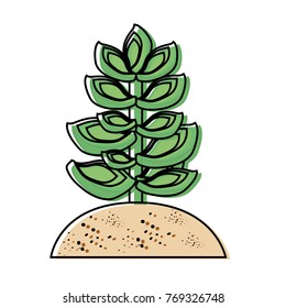 succulent plant icon