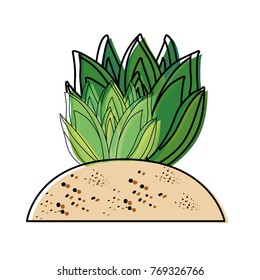 succulent plant icon