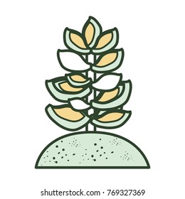 succulent plant icon