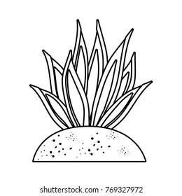 succulent plant icon