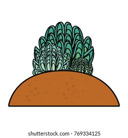 succulent plant icon