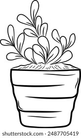 Succulent plant icon in black and white outline art in a pot