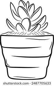 Succulent plant icon in black and white outline art in a pot