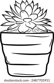 Succulent plant icon in black and white outline art in a pot