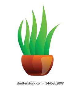 Succulent plant icon. Cartoon of succulent plant vector icon for web design isolated on white background