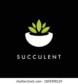 Succulent plant  nature logo design illustration