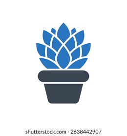 A succulent plant in a pot.