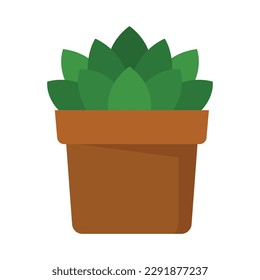 succulent plant in pot flat vector illustration logo icon clipart