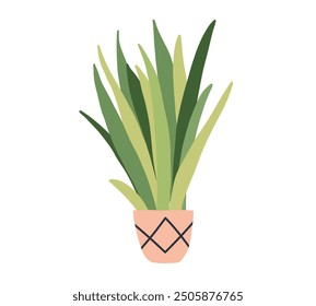 Succulent plant in pot. Garden house indoor flowerpot. Home plant for interior decor. Vector flat illustration