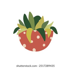 Succulent plant in pot. Garden house indoor flowerpot. Home plant for interior decor. Vector flat illustration