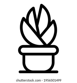 Succulent plant pot icon. Outline Succulent plant pot vector icon for web design isolated on white background
